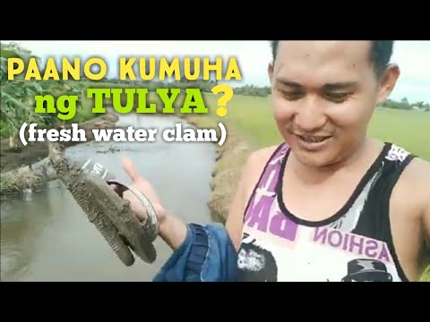 Paano kumuha ng