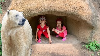 Зоопарк. Удивительное приключение девчат в зоопарке- в мире животных. Видео для детей
