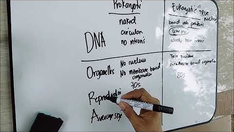 Cell Diversity, Its Functions and Parts