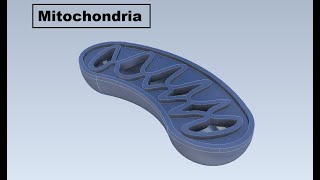 Plant Cell   mitochondria screenshot 2