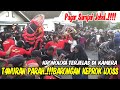 T4wuran parah  barongan jebol pagar jaranan kadang putro pandowo live trisulo