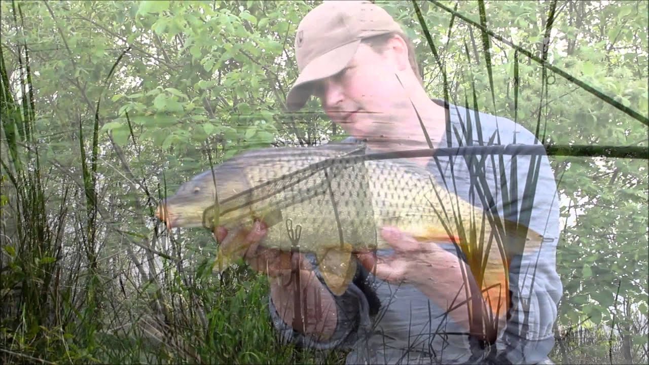 Method Feeder Fishing For Carp - YouTube
