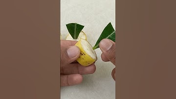 Use Banana & onion To The Best Natural Rooting Hormone#compost #gardening #savebangladeshistudents