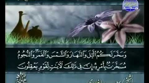 الجزء الرابع عشر من القرآن الكريم بصوت القارئ الشيخ سعد الغامدي = من خلال قناة المجد .