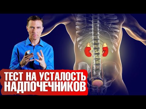 Усталость надпочечников. ✅ Тест. Как бороться со стрессом и восстановить надпочечники