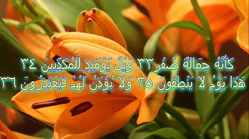 سورة المرسلات بصوت دحيم محمد الحماد لعام  1435ه