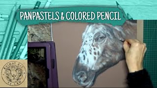 Using PanPastel with Colored Pencil - Horse Portrait screenshot 3