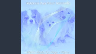Vibrant Dogs