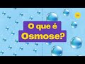 Quiz sobre Osmose e Osmose Reversa