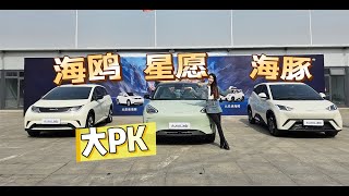 海鸥、海豚、星愿精致小车对决 谁是性价比之王？