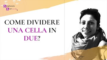 Semplicemente Excel - Come dividere una cella in in Excel 2018 per Mac OS?