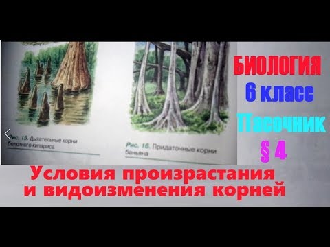 Биология 6 класс § 4 (Автор: Пасечник В.В.) Условия произрастания и видоизменения корней