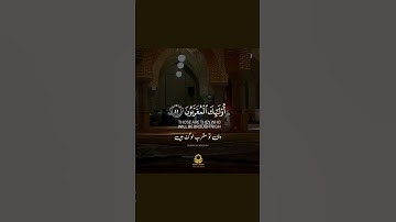 سورة الواقعة راحة نفسية #سورة_الواقعة #قرآن #راحة_نفسية #تلاوة_خاشعة #اكسبلور