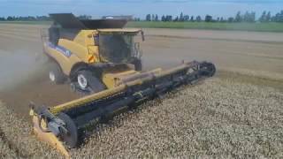 Harvest 2019.Harvesting and Bailing wheat New Holland 9.90.