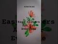 Watercolor Tutorial. easy flowers for everyone, Step-by-step! #painting #flowers #diy #ArtTutorial