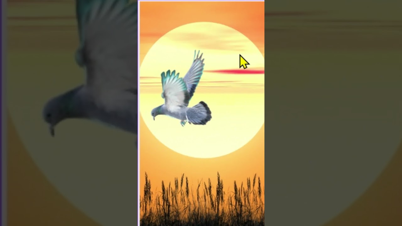 Canva Hacks "Words to Inspire: Stunning Quote Posters"