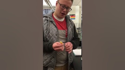 Jared Weller- Skill 1 (Pasteur Pipet)