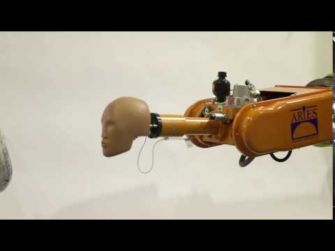 Free Motion Headform