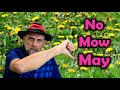 No Mow May - Does it Work?