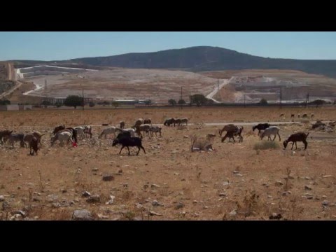 Στέρεο Νόβα -
