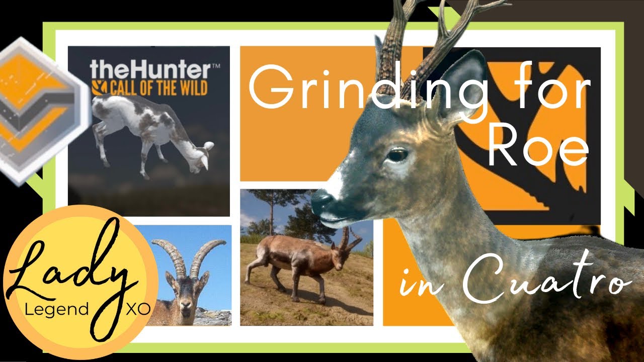 Grinding for Roe Deer in Cuatro! Hunter Call of the Wild YouTube