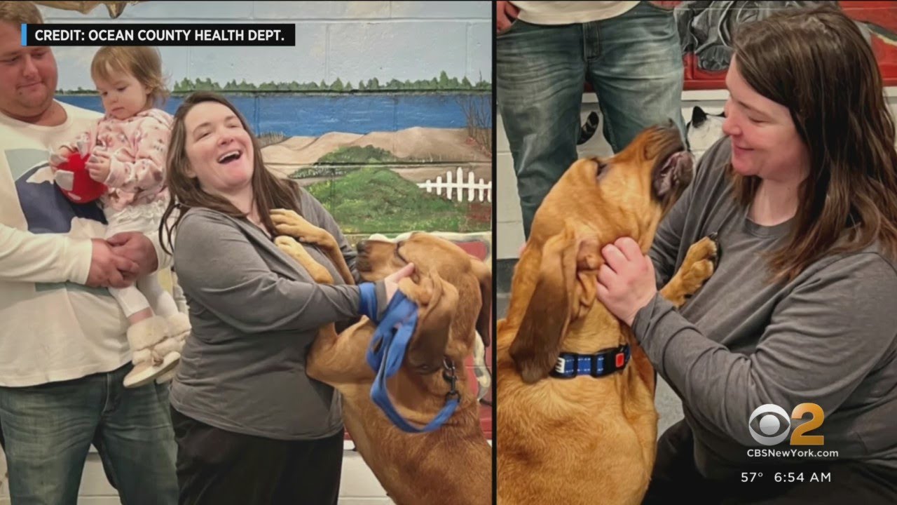 Dog rescued from puppy mill reunited - YouTube