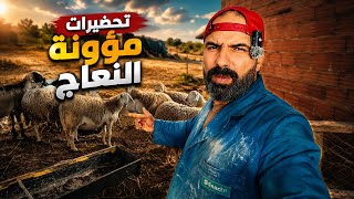 🔥 خطوة مهمة لكل مربي أغنام.. هكذا أجهز مؤونة القطيع للموسم القادم!