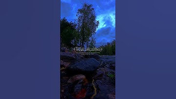 #اكسبلور #المصحف #تلاوة_خاشعة #راحة_نفسية #الرحمن #القرآن_الكريم