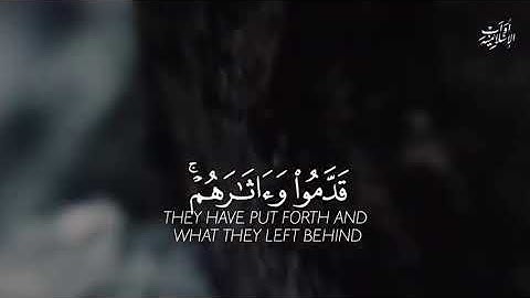 تلاوة خاشعة ومؤثرة ❤️ أجمل حالات واتس اب قرآن كريم بصوت جميل جدا 😓 Quran Status༺﷼༻