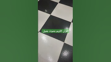 القرآن الكريم بصوت جميل #تلاوة_خاشعة #تلاوة_هادئة #إسلام_صبحي #خواتيم_سورة_المؤمنون #سورة_المؤمنون