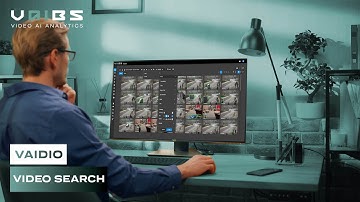 Vaidio Video Search with Natural Language Search - ENG