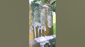 The Best Headstone Cleaning Results with Wet And Forget