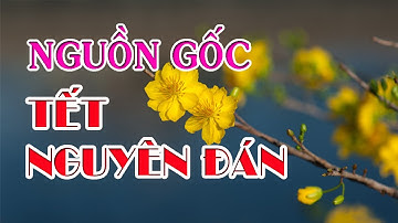 Nguyên Gốc Và Ý Nghĩa Nhân Văn Của TẾT NGUYÊN ĐÁN–Tết Cổ Truyền Của Người Việt #tết2021#tếtnguyênđán