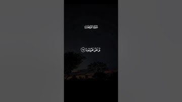 سورة الواقعه القارئ سعود الفايز 