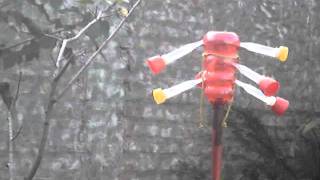 This is a very simple Hummingbird Feeder made out of a red plastic bottle in wich you make holes to stick in aquatpicks (those used 