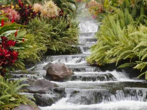 Rajesh Payal Rai - Ghama Ra Ratako