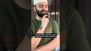 Download Lagu SURAH BAQARAH ATTRACTED A BUNCH OF COWS MP3 Download Lagu SURAH BAQARAH ATTRACTED A BUNCH OF COWS MP3