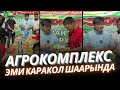 Агрокомплекс эми КАРАКОЛ шаарында.