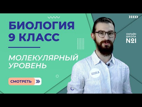 Молекулярный уровень. Видеоурок 3. Биология  9 класс