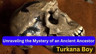 Turkana Boy: Unraveling the Mystery of an Ancient Ancestor | Myth and Fact