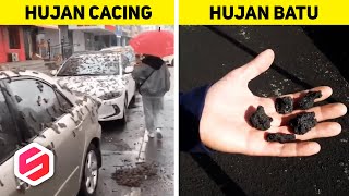 HUJAN CACING HINGGA HUJAN BATU, Inilah Fenomena Hujan Yang Paling Aneh