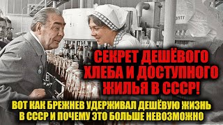 картинка: Как СССР держал низкие цены и обманул реальность! Главная тайна эпохи Брежнева.