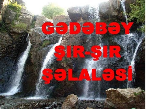 Video: Alp ətirşahına qulluq - Erodium Alp ətirşah bitkiləri haqqında məlumat əldə edin