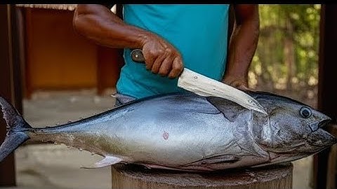Tuna Cutting Show – Skill & Precision in Real Time