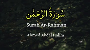 “سورة الرحمن | أجمل تلاوة تهز القلوب وتبكي العيون ✨📖