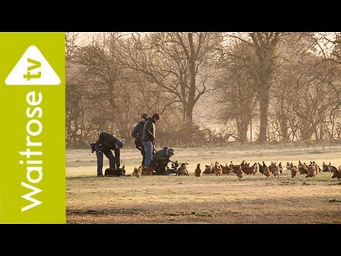 The Making Of Our TV Ad | Everything We Do Goes Into Everything You Taste | Waitrose