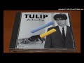 TULIP 無邪気な夜