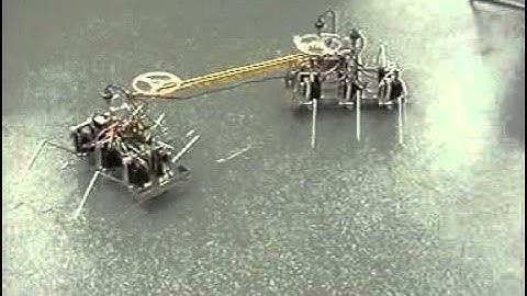 2dof leg hexapods, one tracking the other with range and bearing bar