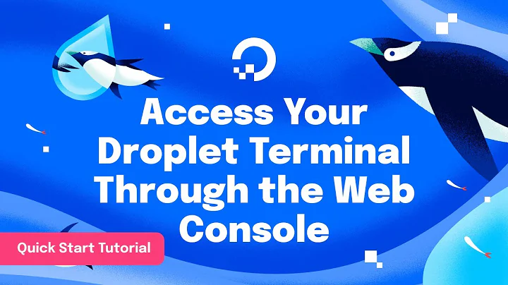 Access Your Droplet Terminal Through the Web Console