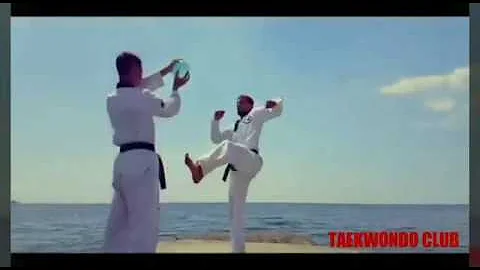 İnsane taekwondo skills